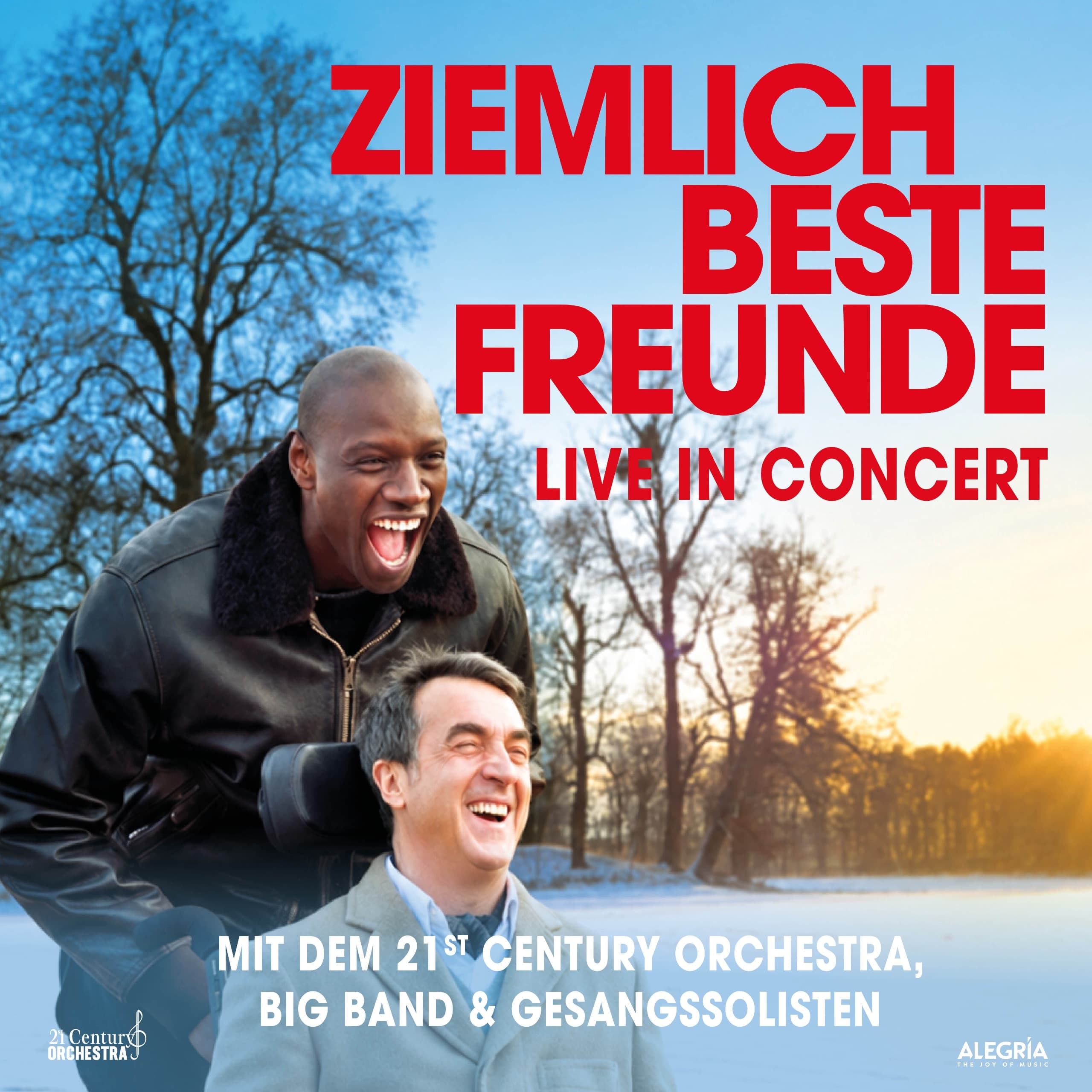 Ziemlich beste Freunde – Live in Concert — Konzertplakat