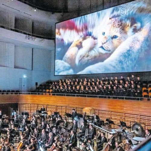 Standing Ovations für den Löwenkönig